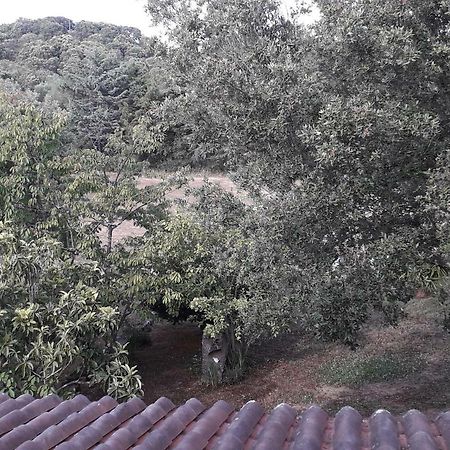 Agriturismo La Tuva Villa Padru Dış mekan fotoğraf