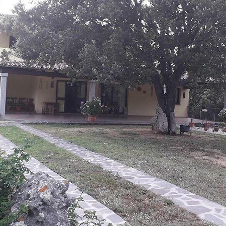 Agriturismo La Tuva Villa Padru Dış mekan fotoğraf