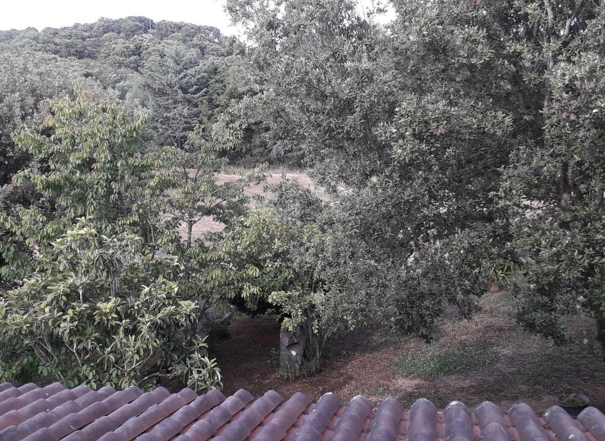 Agriturismo La Tuva Villa Padru Dış mekan fotoğraf