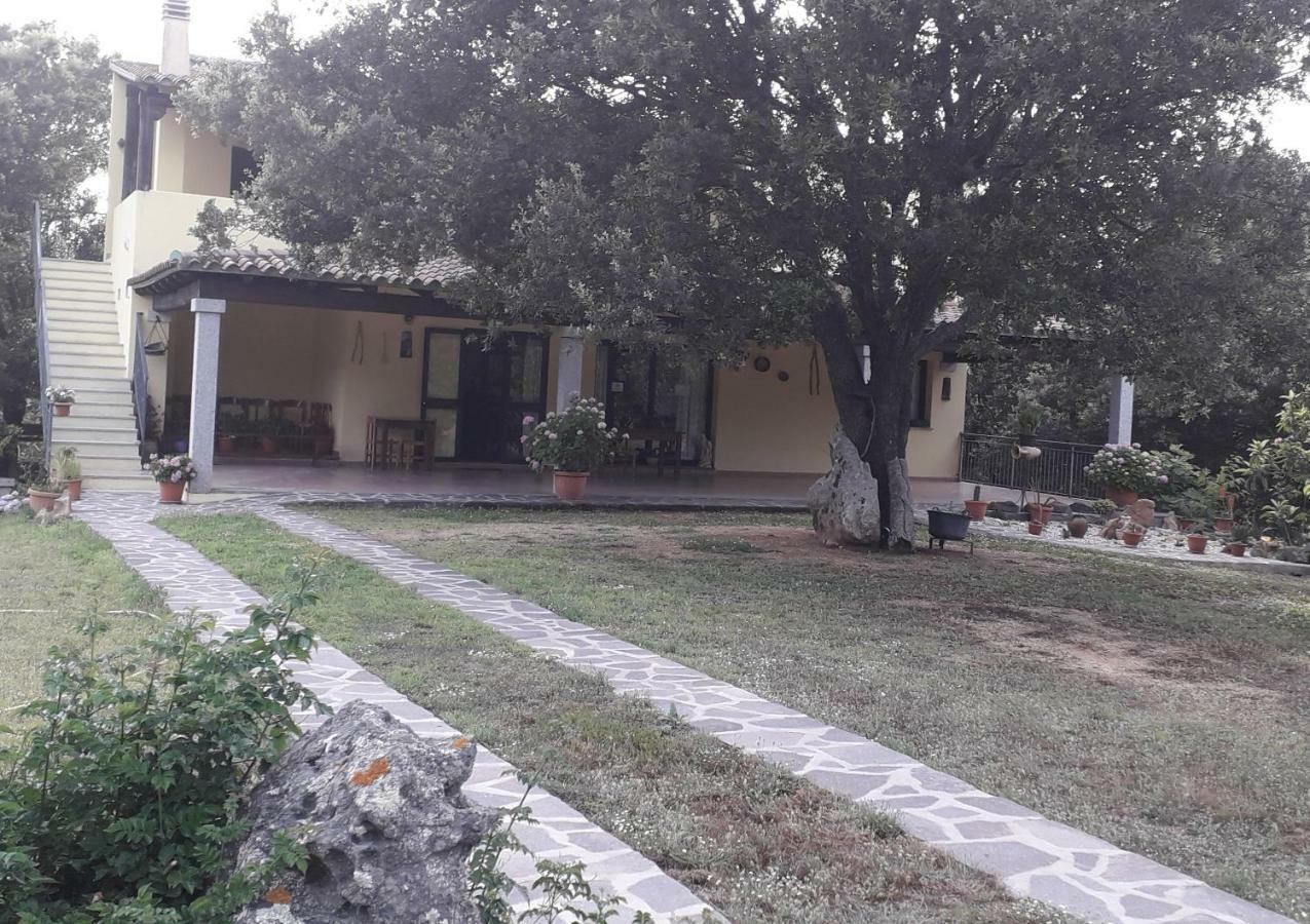 Agriturismo La Tuva Villa Padru Dış mekan fotoğraf