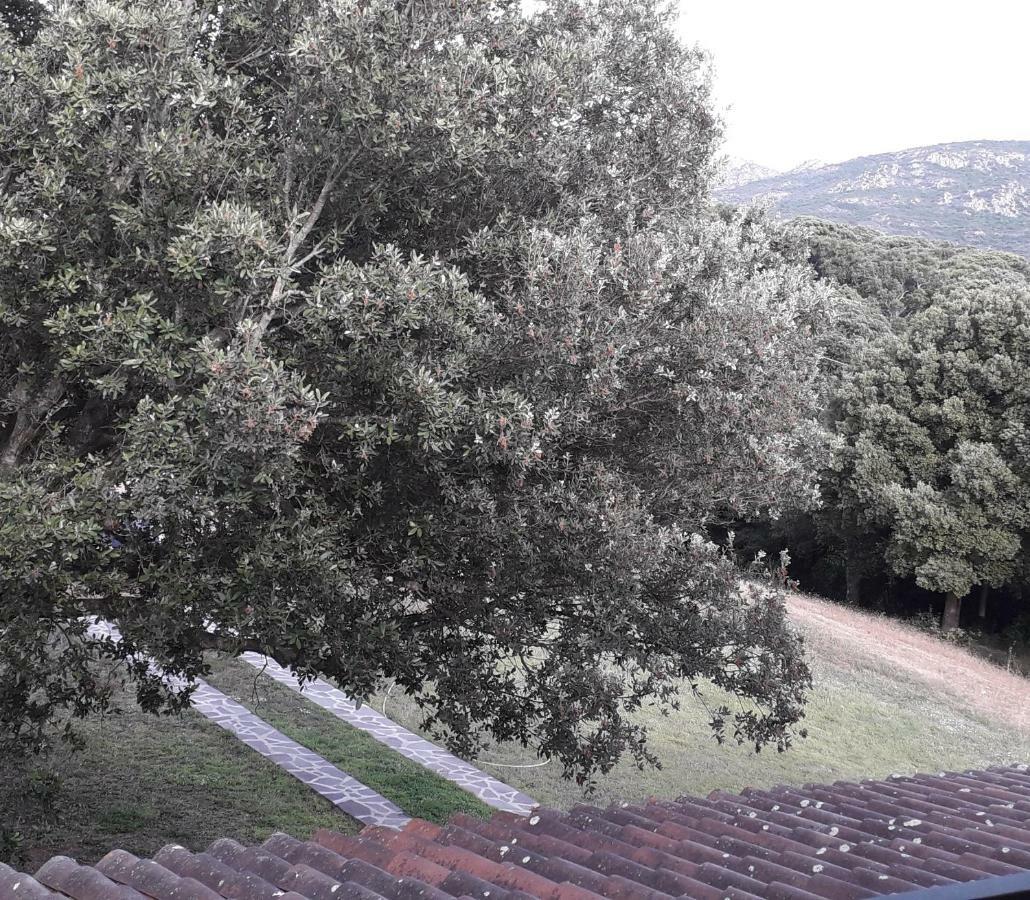 Agriturismo La Tuva Villa Padru Dış mekan fotoğraf