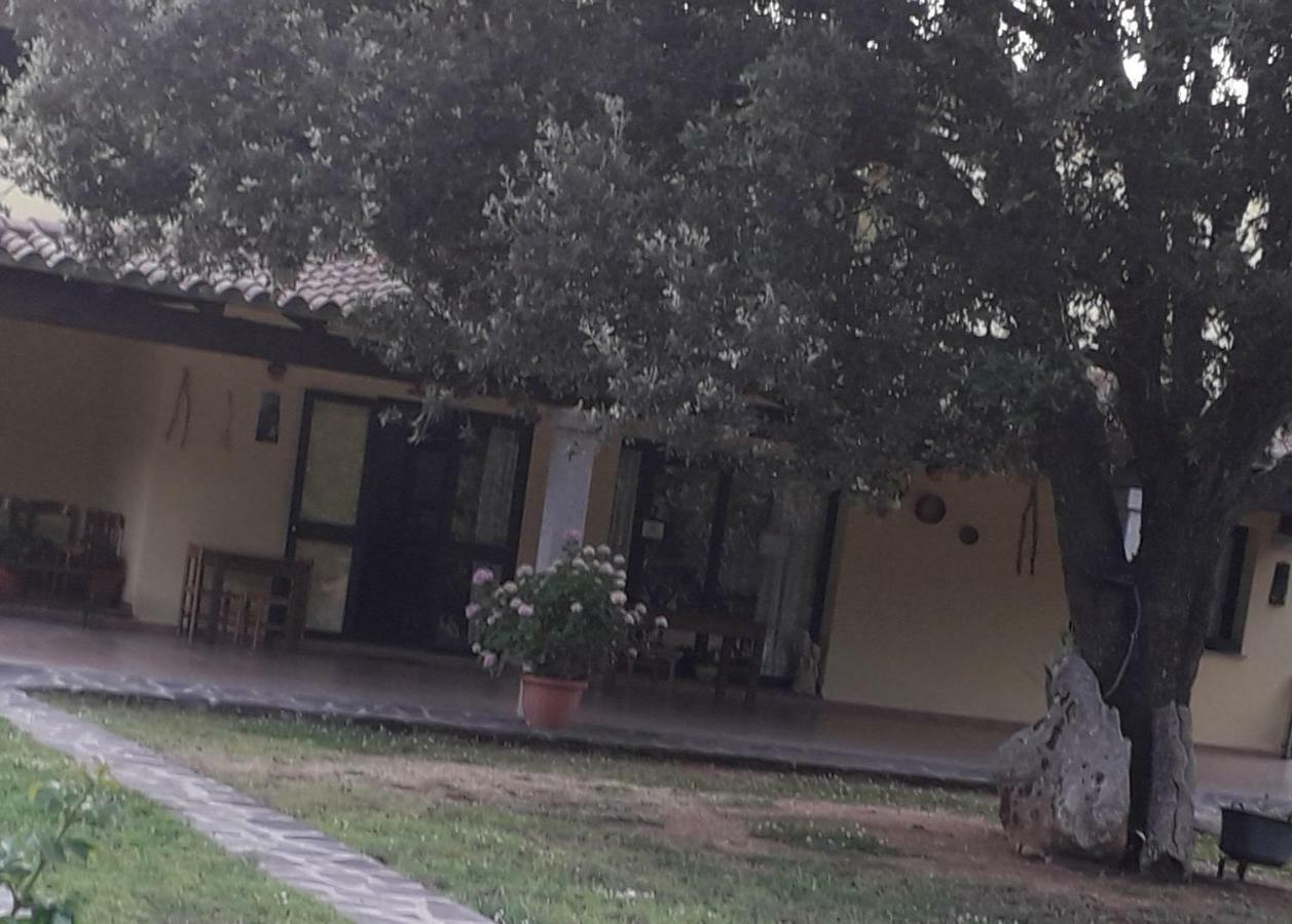 Agriturismo La Tuva Villa Padru Dış mekan fotoğraf