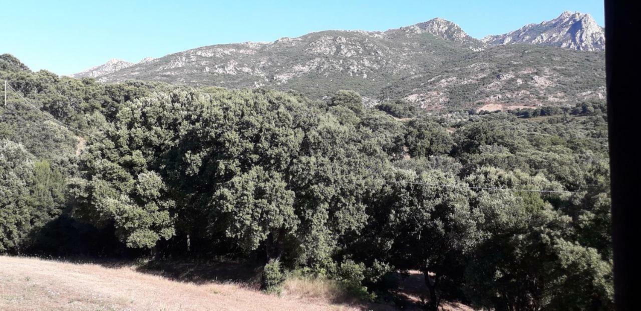 Agriturismo La Tuva Villa Padru Dış mekan fotoğraf